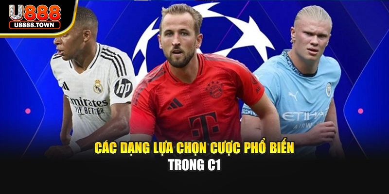 Các dạng lựa chọn cược phổ biến trong C1