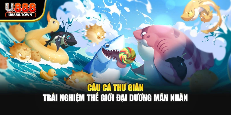 Câu Cá Thư Giãn - Trải Nghiệm Thế Giới Đại Dương Mãn Nhãn