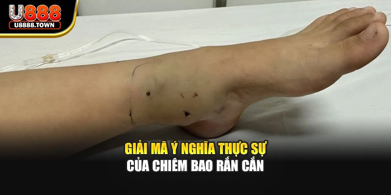 Giải mã ý nghĩa thực sự của chiêm bao rắn cắn