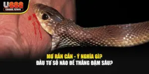 Mơ Rắn Cắn - Ý Nghĩa Gì? Đầu Tư Số Nào Để Thắng Đậm Sâu?