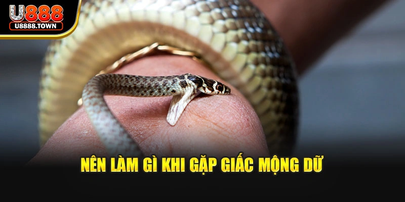 Nên làm gì khi gặp giấc mộng dữ