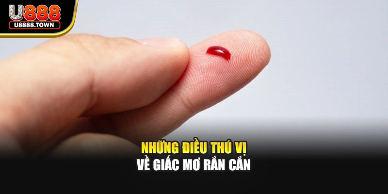 Những điều thú vị về giấc mơ rắn cắn