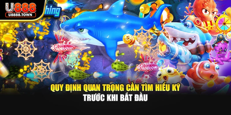 Quy định quan trọng cần tìm hiểu kỹ trước khi bắt đầu